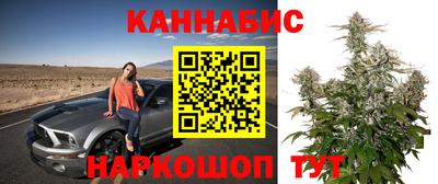 тгк Пугачёв