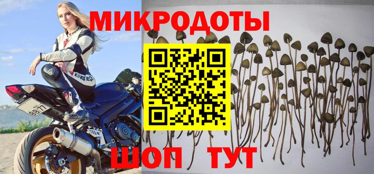 Светлоград  Псилоцибиновые грибы мухоморы  Псилоцибиновые грибы мицелий  Вход с VPN 
